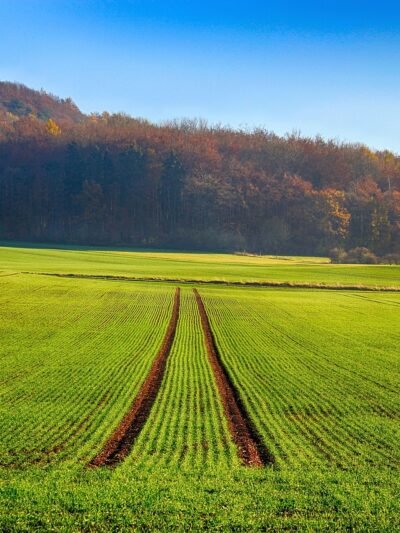 Agricultural Properties